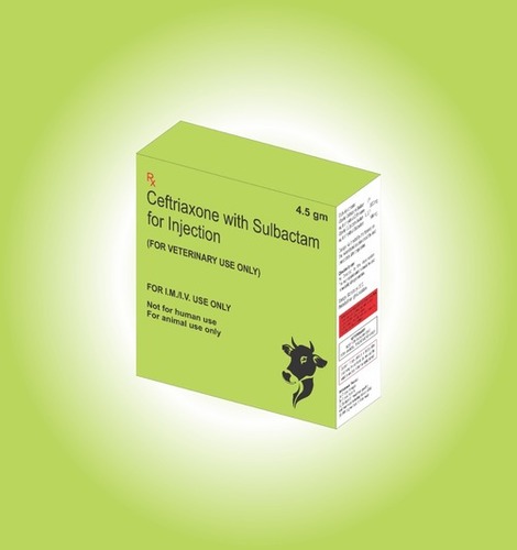 Ceftriaxone Sulbactam 4500 mg veterinary injection in third party manufacturing