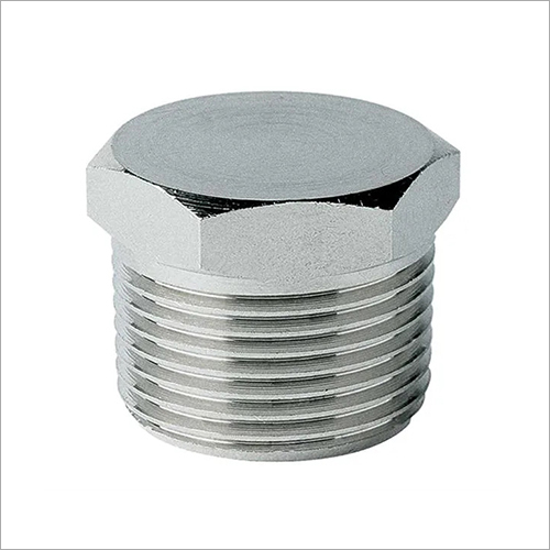 Ss Plug Application: Construction