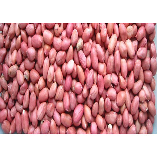 Groundnut Red Skin Java Quality