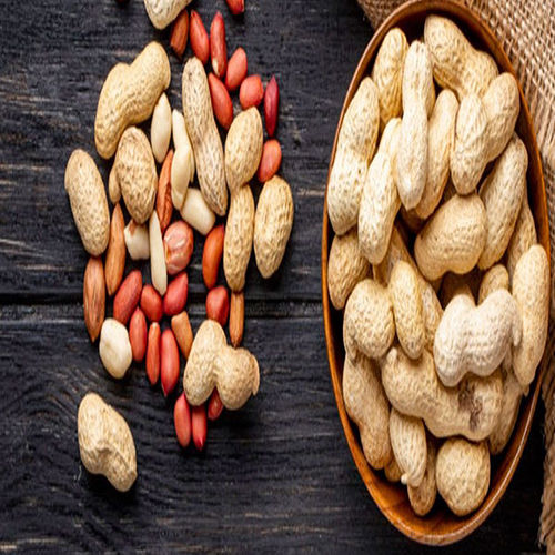 Indian Groundnut Extraction Meal