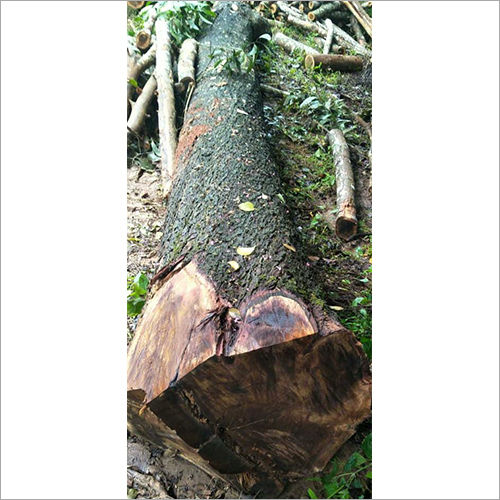 Manjiyam Wood Logs
