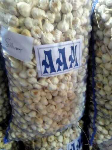 AAA Grade Garlic