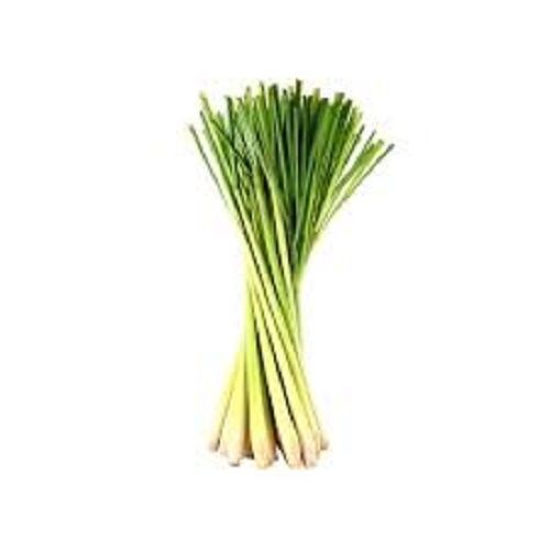 lemon grass