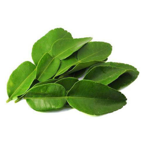 kaffir leaves