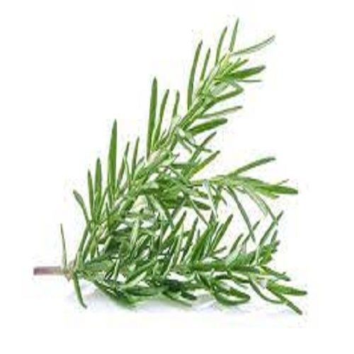 veg Rosemary