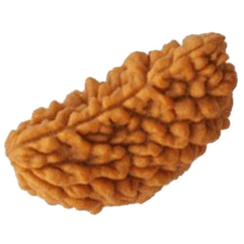 5 Mukhi Rudraksha Beads