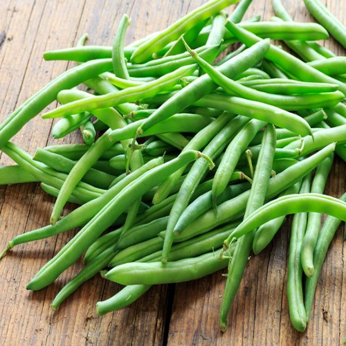 Fresh Beans Moisture (%): Nil