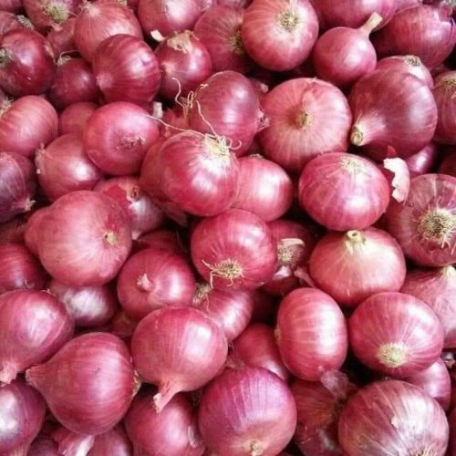 Fresh Red Onion Moisture (%): 84%