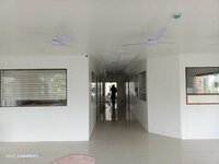 OPD Flush Door