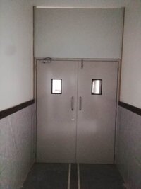 OPD Flush Door