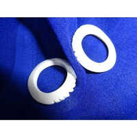 Conch Shell Ring Gender: Unisex