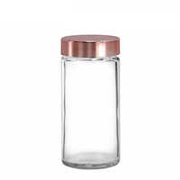 Holar Elegant Glass Spice Jars with Rose Gold Caps for Herbs Organization