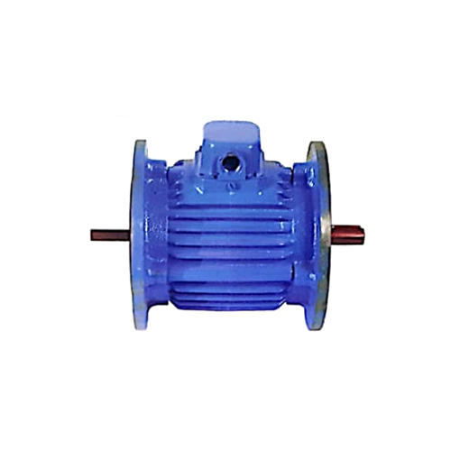 Industrial Crane Duty Motor