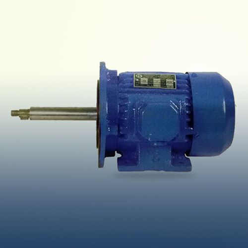 Industrial Standard Vertical Motor