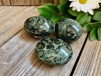 High Quality Beautiful Kambaba jasper Gemstone Palm Stone