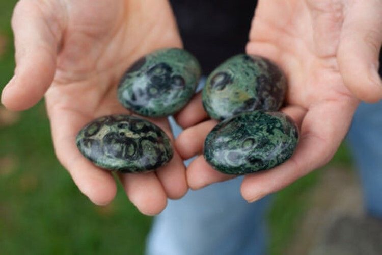 High Quality Beautiful Kambaba jasper Gemstone Palm Stone