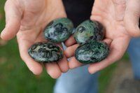 High Quality Beautiful Kambaba jasper Gemstone Palm Stone