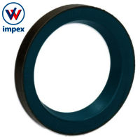 INA Sealing Rings