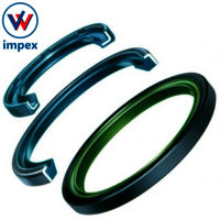 INA Sealing Rings