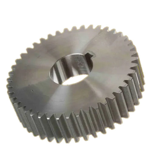 Stainless Steel Spur Gear