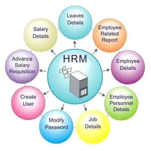 HR and Payroll Software