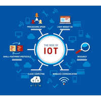 Software Services
