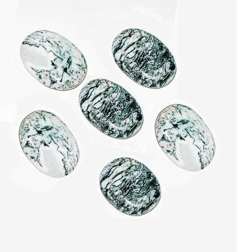 Beautiful Tree Agate Gemstone Palm stone