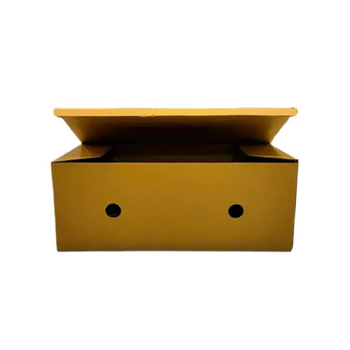 Brown Corrugated Fruit Box