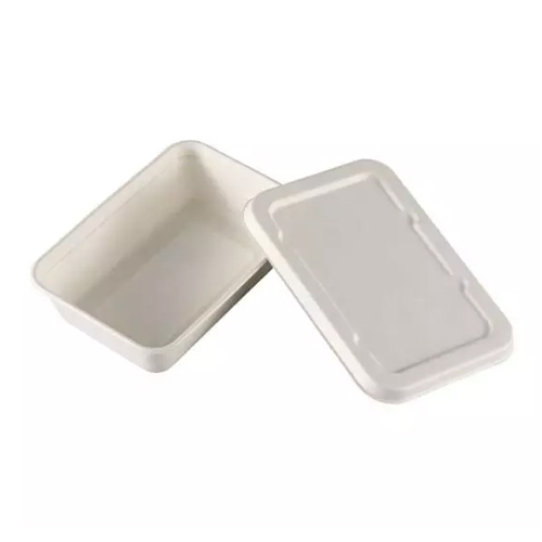 Bagasse Container With Lid