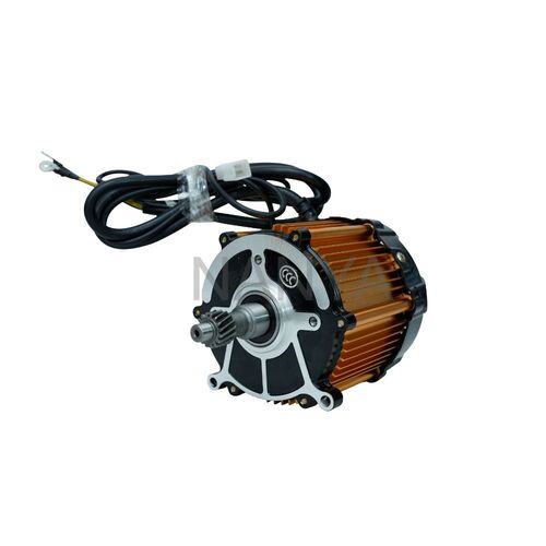 I Cat Approved 48V/1200watt Motor High Power E Rickshaw Motor Gold