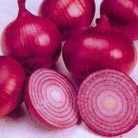Fresh Onions - Color: Red | Leading Supplier of Flavorful, Fresh Red Onions for Culinary Use, Perfect for Cooking and Garnishing Dishes