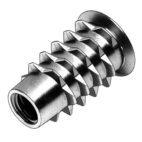D Nuts - Stainless Steel, Polished Finish | Long Life Service for Industrial Applications