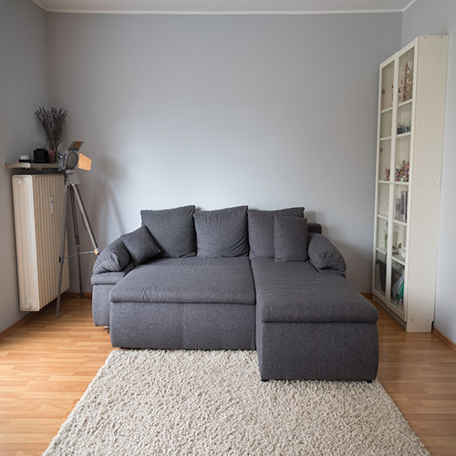 Sofa Cum Bed