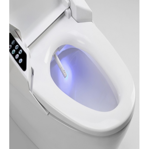 White Electronic Toilet Bowl