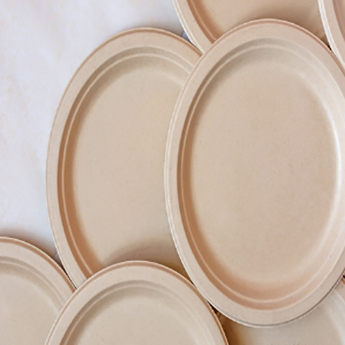 Paper Plate Usage: Event And Party Supplies