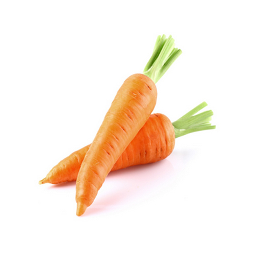 Fresh Carrot
