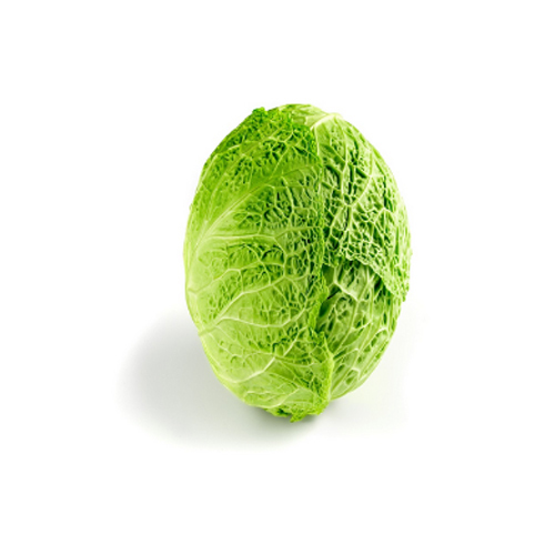 Fresh Gabbage