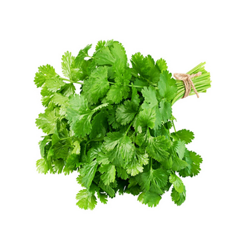 Fresh Vegetables