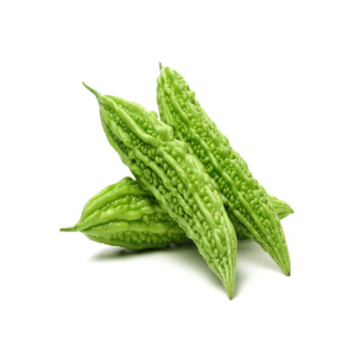 Fresh Bitter Gourd