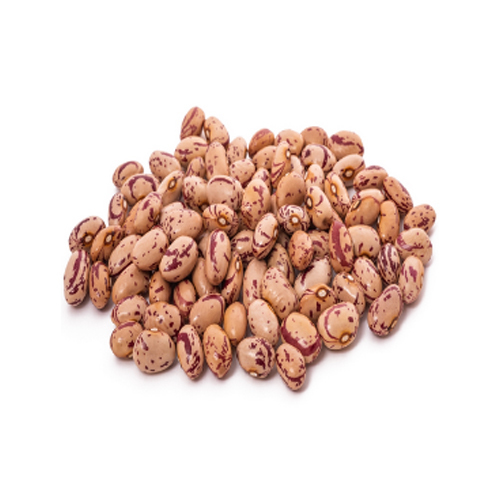 Cranberry Beans