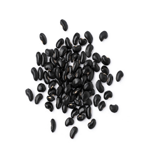 Black Bean