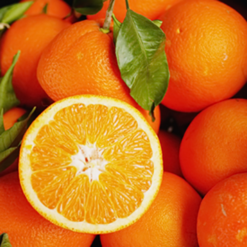 Fresh Oranges