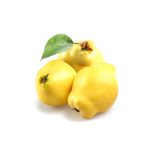Fresh Quince