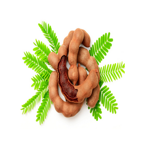 Fresh Tamarind