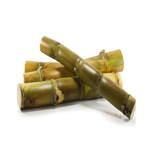 Fresh Sugarcane