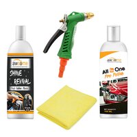 All In One Pro Car Polish