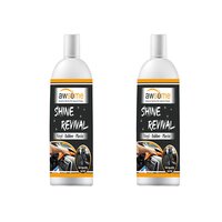 Automotive Shine Revival