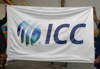 Plastic Custom Flag