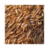 Industrial Dry Oats - Glass Bottle | Original Flavor, Solid Form, Nutritious Whole Grain Inclusion, Perfect For Baking And Cooking