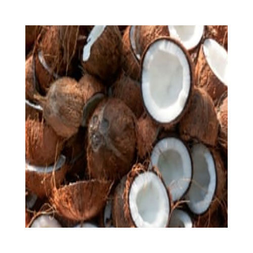 Common Fresh Coconut